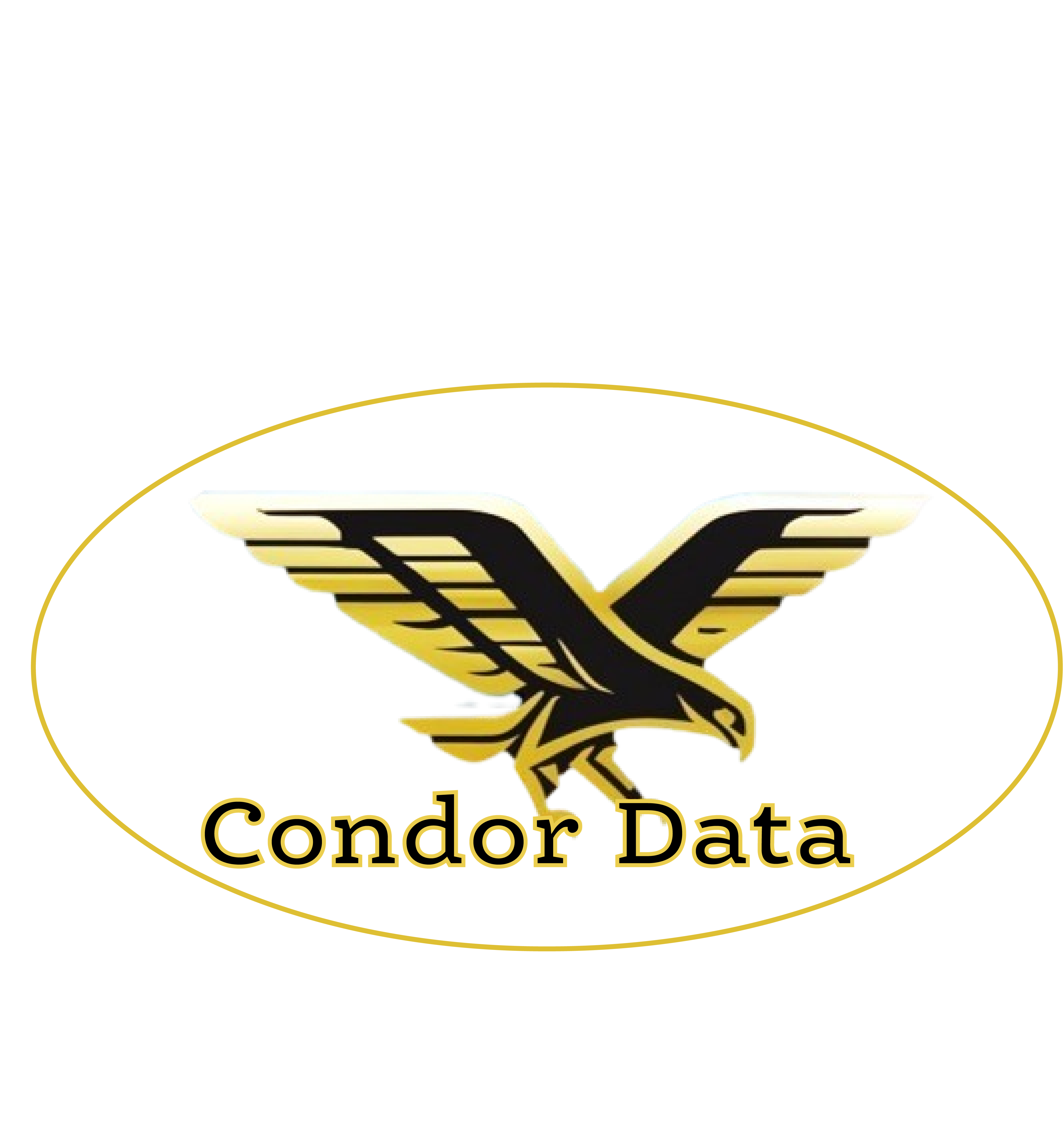 Condor Data, desarrollo de software.
